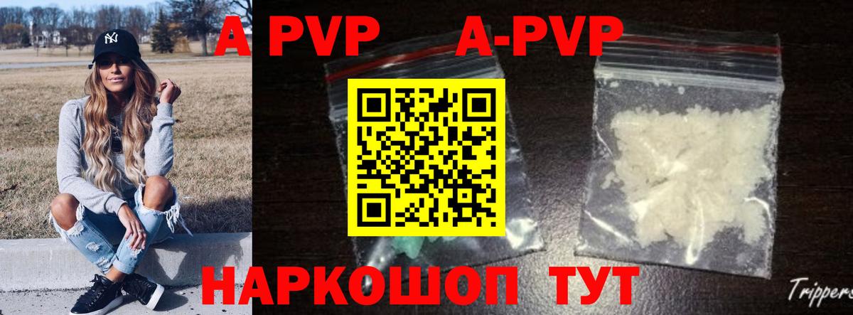 Alfa_PVP СК Великий Новгород