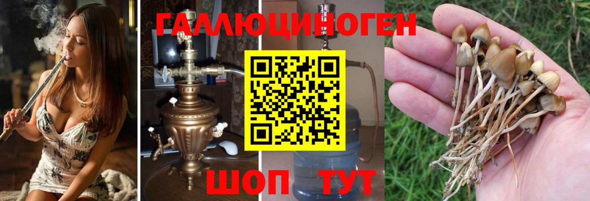 Псилоцибиновые грибы ЛСД Великий Новгород